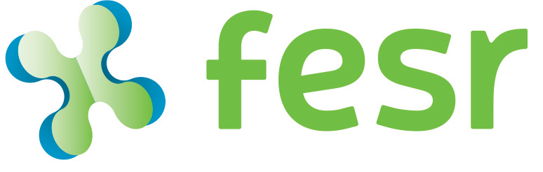 logo fesr